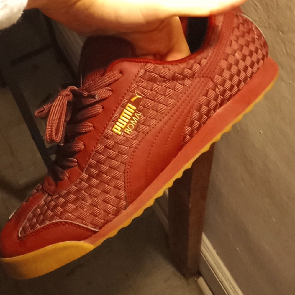 Puma roma